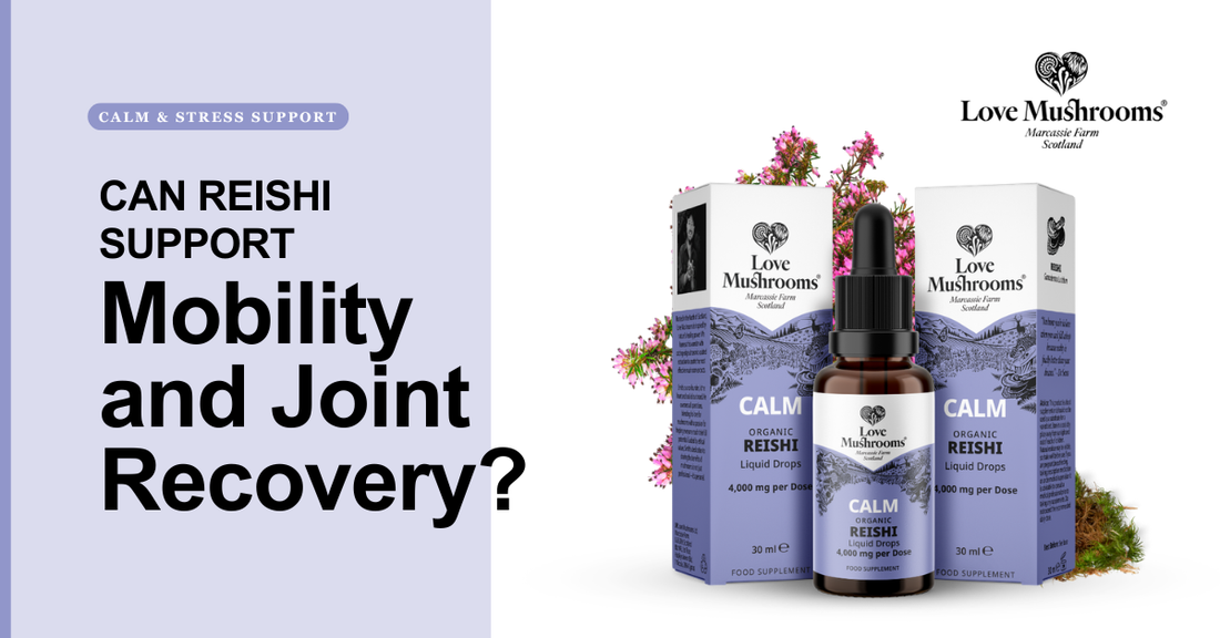Can Reishi Support Joint Comfort? What to Know
