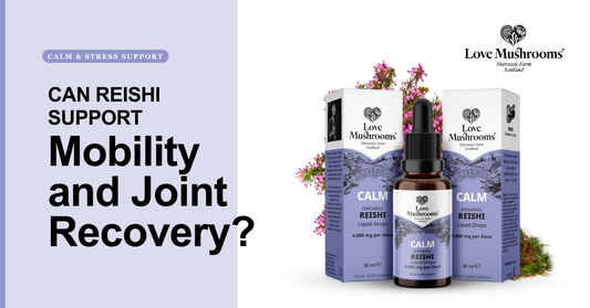 Can Reishi Support Joint Comfort? What to Know