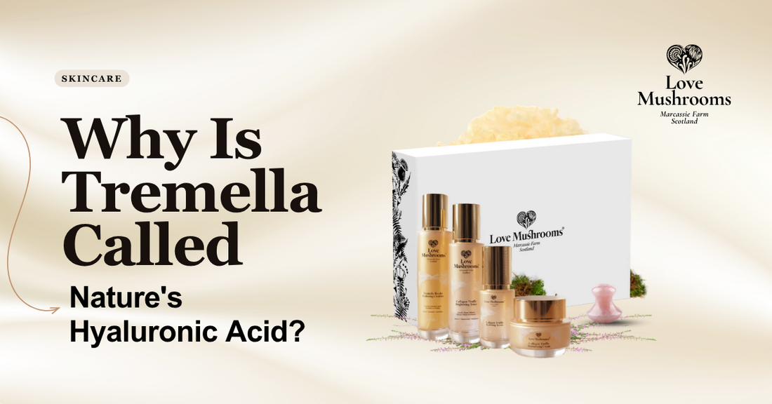Why Is Tremella Called Nature’s Hyaluronic Acid?