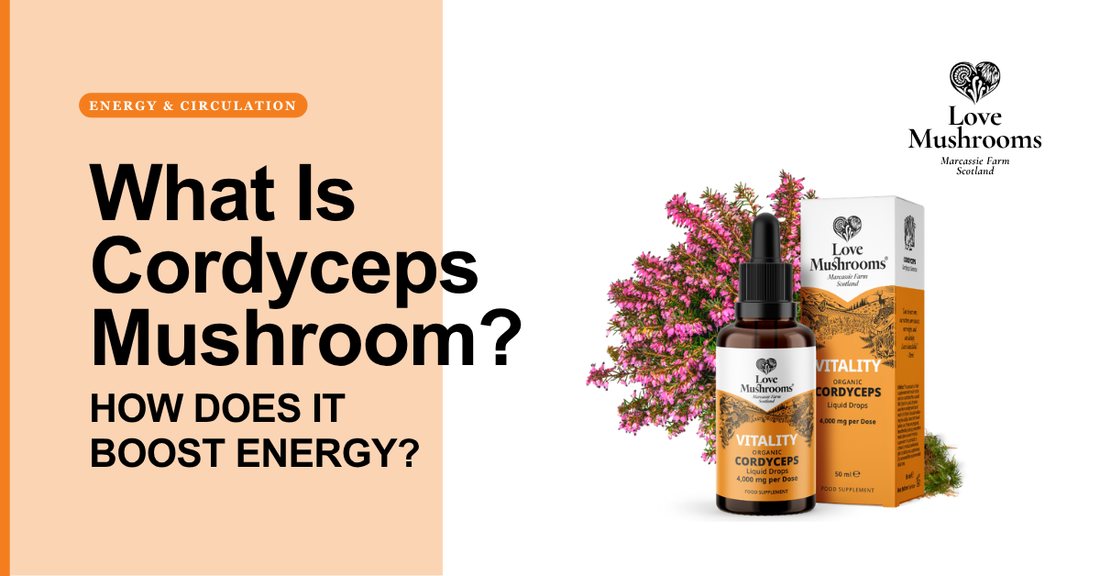 What Is Cordyceps Mushroom and How Does It Boost Energy?