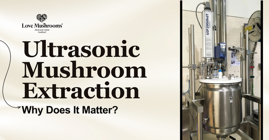 Love Mushrooms graphic explaining ultrasonic mushroom extraction, shown beside specialist extraction equipment used in the production process.