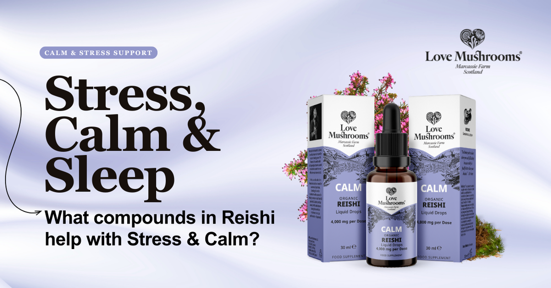 How Reishi Supports Stress, Calm and Sleep Naturally