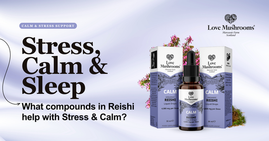 How Reishi Supports Stress, Calm and Sleep Naturally