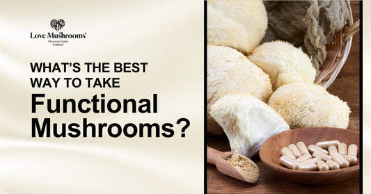 Love Mushrooms Reishi capsules, Cordyceps liquid drops and Coffee with Lion’s Mane shown as different ways to take functional mushrooms.