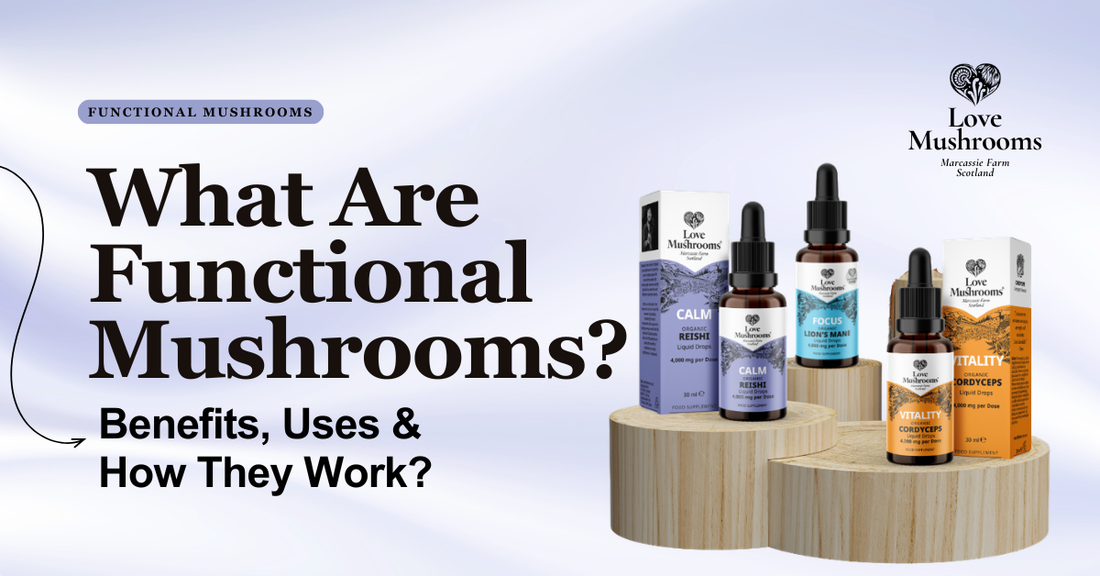 Love Mushrooms functional mushroom liquid drops and product boxes displayed on wooden stands with Calm Reishi, Focus Lion’s Mane and Vitality Cordyceps.