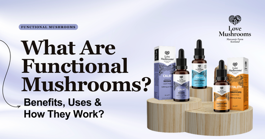 Love Mushrooms functional mushroom liquid drops and product boxes displayed on wooden stands with Calm Reishi, Focus Lion’s Mane and Vitality Cordyceps.