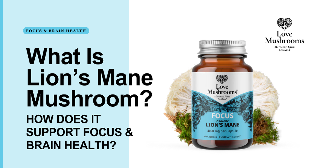 Love Mushrooms Lion’s Mane liquid drops shown alongside a close-up of Lion’s Mane mushroom and natural green foliage.