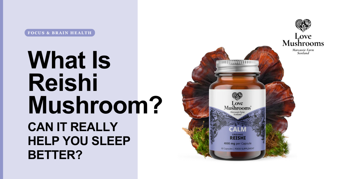 Love Mushrooms Calm Organic Reishi capsules shown beside Reishi mushrooms and product packaging.