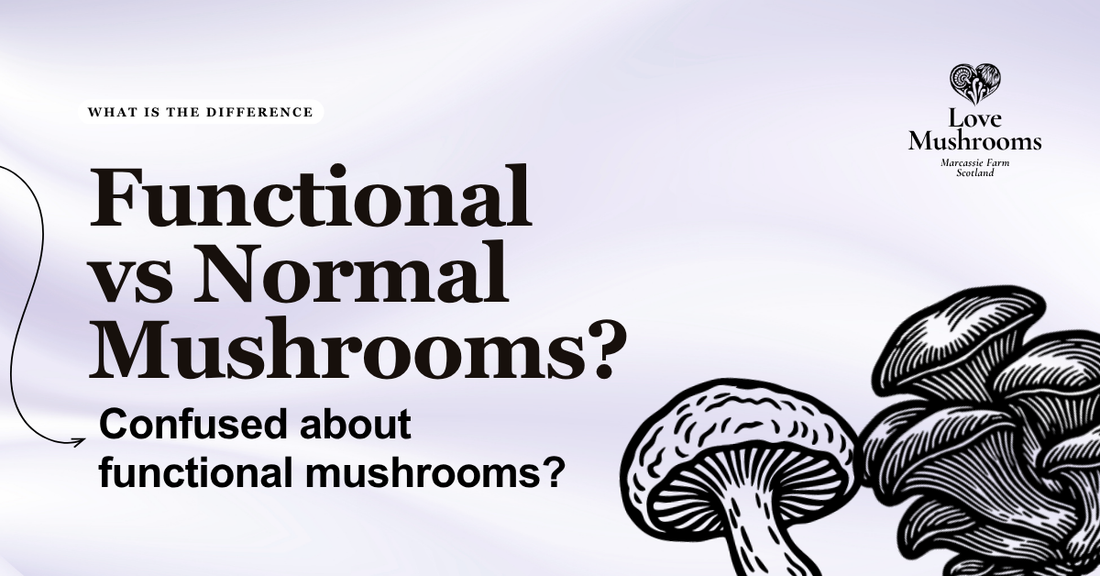 Comparison table showing functional mushrooms versus normal eating mushrooms, including purpose, use, taste and selection.