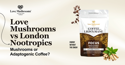 Love Mushrooms vs London Nootropics comparison featuring Love Mushrooms Lion’s Mane adaptogenic coffee.