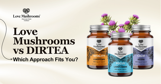 Love Mushrooms vs DIRTEA blog graphic featuring Lion’s Mane, Cordyceps and Reishi supplement bottles with the text “Which Approach Fits You?”
