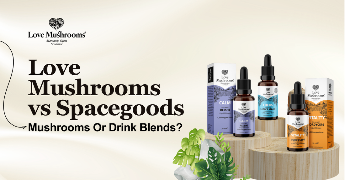 Love Mushrooms vs Spacegoods blog graphic featuring Reishi, Lion’s Mane and Cordyceps liquid drops with the text “Mushrooms or Drink Blends?”