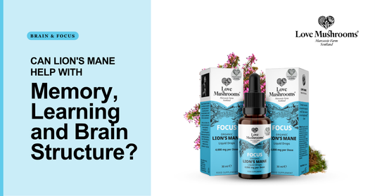 Love Mushrooms Organic Lion’s Mane Focus liquid drops with product packaging beside the question about memory, learning and brain structure.