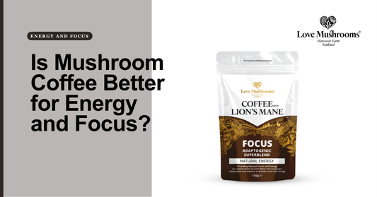 Love Mushrooms Focus mushroom coffee with Lion’s Mane, featured beside the question about energy and focus.
