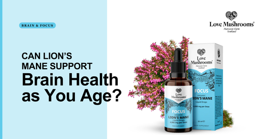 Love Mushrooms blog graphic asking if Lion’s Mane can support brain health as you age, featuring Focus Lion’s Mane liquid drops and packaging.