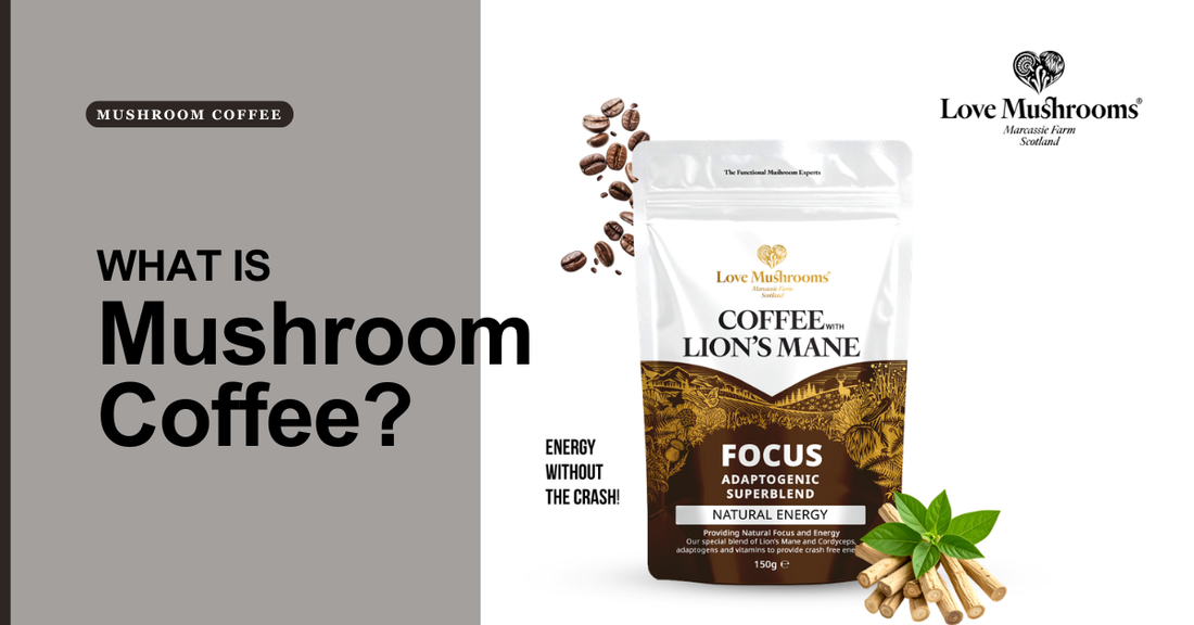 Love Mushrooms blog graphic asking what mushroom coffee is, featuring Coffee with Lion’s Mane packaging, coffee beans, and botanical ingredients.
