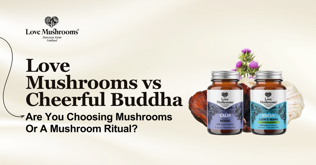 Love Mushrooms vs Cheerful Buddha comparison graphic featuring Reishi and Lion’s Mane with Ashwagandha capsules.