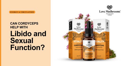 Love Mushrooms Vitality Cordyceps product image beside the blog title “Can Cordyceps Help With Libido and Sexual Function?”
