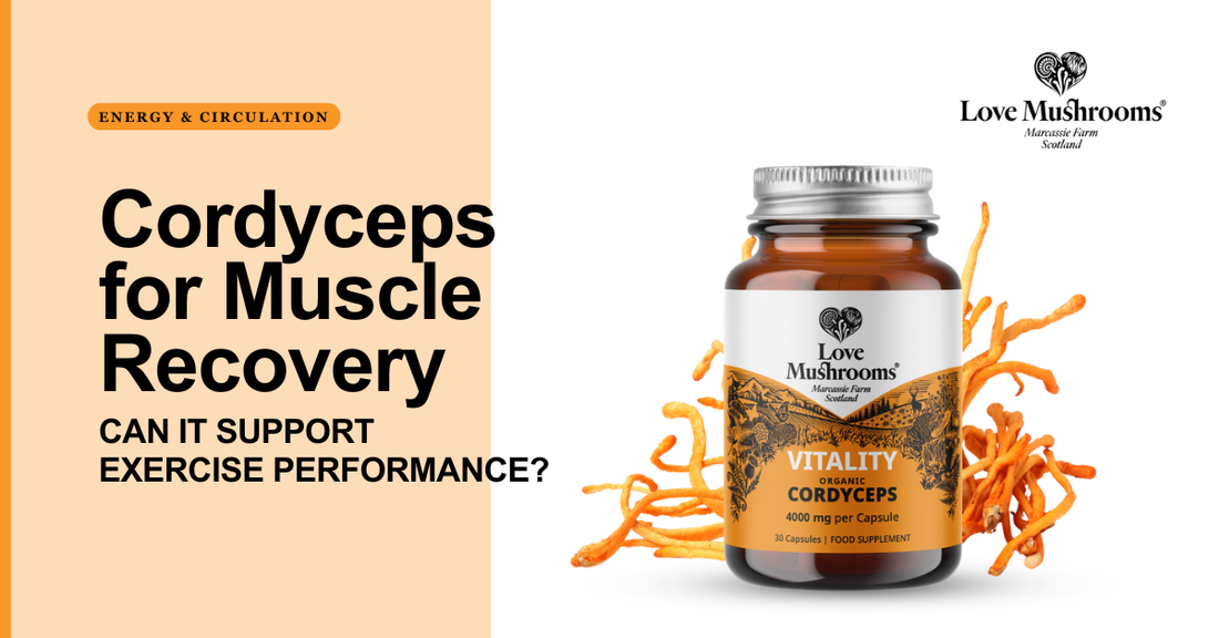 Love Mushrooms blog graphic about Cordyceps for muscle recovery, featuring Vitality Cordyceps capsules and cordyceps mushrooms.
