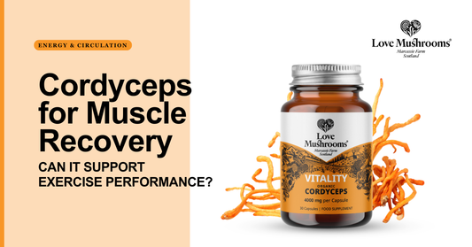 Love Mushrooms blog graphic about Cordyceps for muscle recovery, featuring Vitality Cordyceps capsules and cordyceps mushrooms.