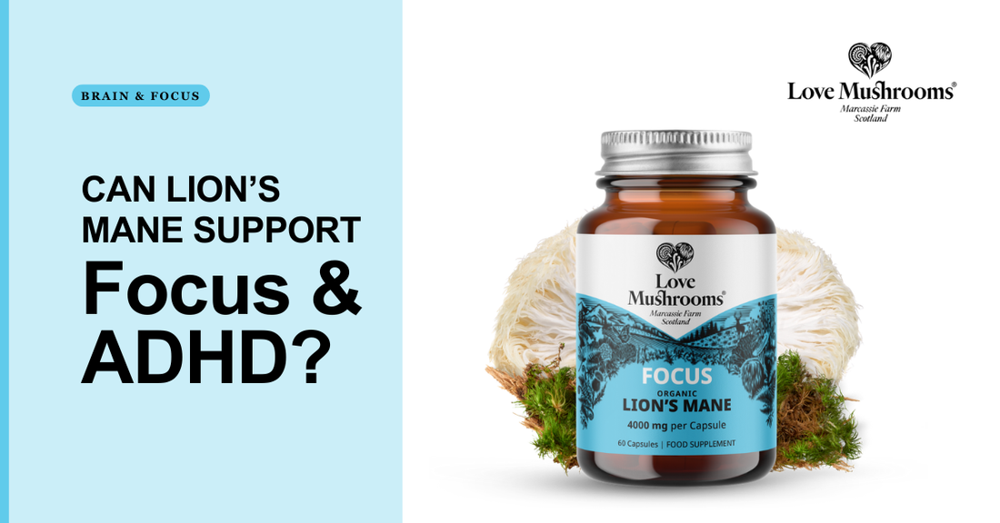 Love Mushrooms Focus Lion’s Mane supplement bottle beside a lion’s mane mushroom, with text asking if Lion’s Mane can support focus and ADHD.