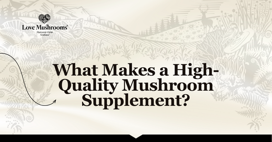 Love Mushrooms branded graphic with the title “What Makes a High-Quality Mushroom Supplement?” over a botanical countryside illustration.