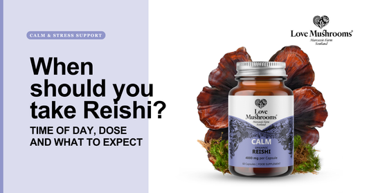 Love Mushrooms Organic Reishi capsules displayed with Reishi mushrooms beside the headline “When should you take Reishi?”