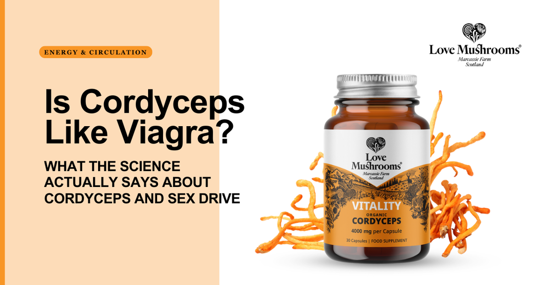 Love Mushrooms Cordyceps supplement with the title “Is Cordyceps Like Viagra? What the Science Actually Says About Cordyceps and Sex Drive.”