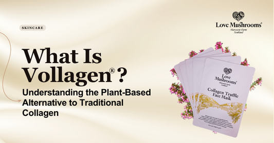 Love Mushrooms Vollagen plant-based collagen blog graphic featuring Collagen Tremella Face Masks and the title “What Is Vollagen?