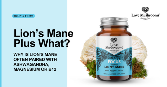 Love Mushrooms Organic Lion’s Mane supplement with the title “Lion’s Mane Plus What?” explaining common pairings with ashwagandha, magnesium and vitamin B12.