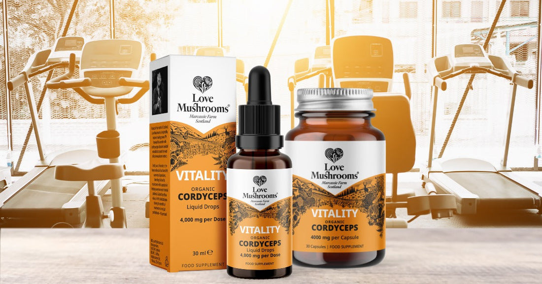 Cordyceps sinensis vs Cordyceps militaris: Understanding the Mushrooms  and the Novel Food Act