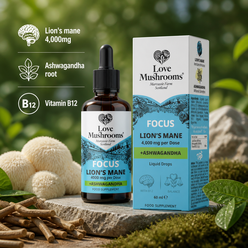 Lion's Mane + Ashwagandha - Liquid Drops (60ml)