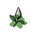 CoQ10