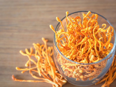 Cordyceps