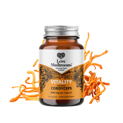 Cordyceps Capsules (30) – 4000mg per Capsule