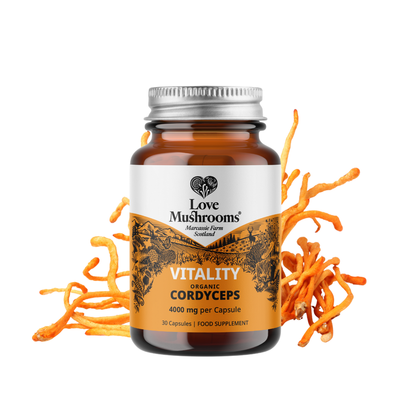 Cordyceps Capsules (30) – 4000mg per Capsule