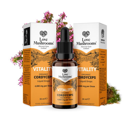 Cordyceps Liquid Drops (30ml) – 4000mg per Dose