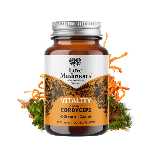 Cordyceps Capsules (60) – 4000mg per Capsule