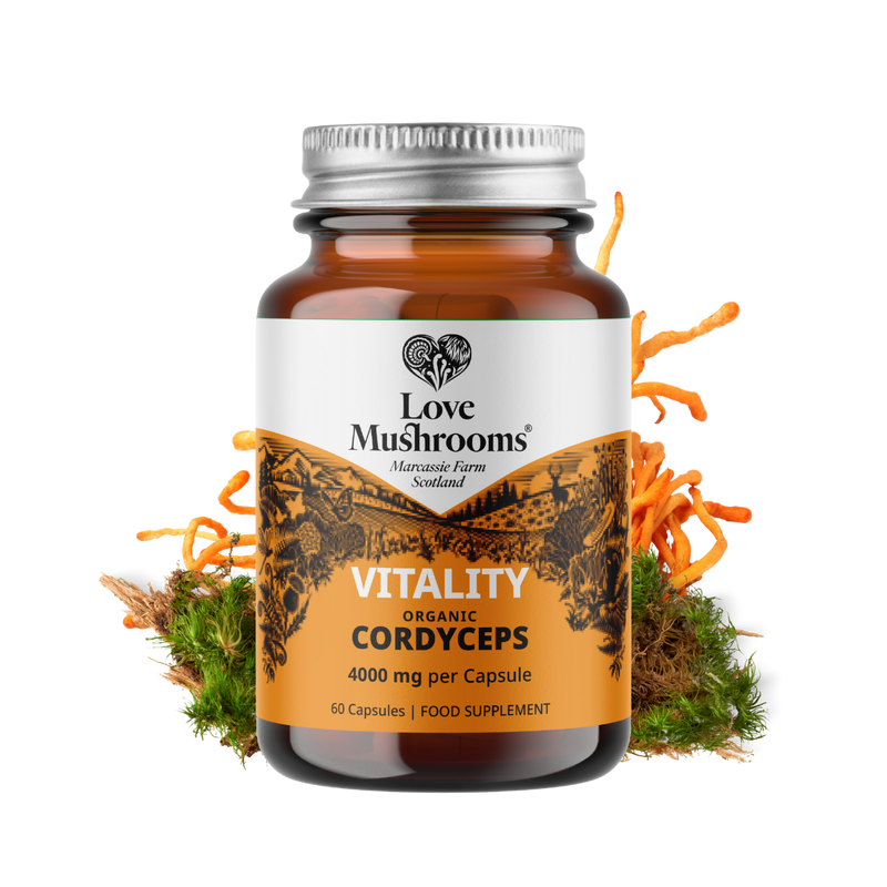 Cordyceps Capsules (60) – 4000mg per Capsule