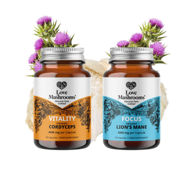Energy & Focus Capsules 60s Bundle
