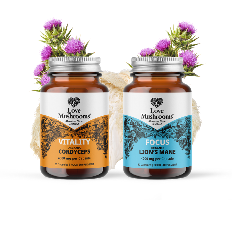 Energy & Focus Capsules 60s Bundle