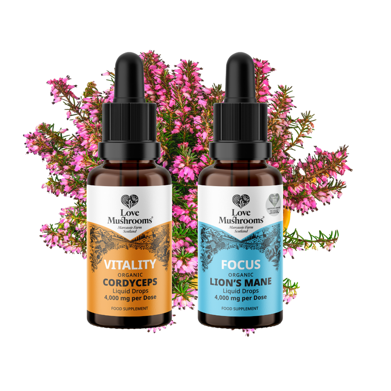 Energy & Focus 50ml Bundle