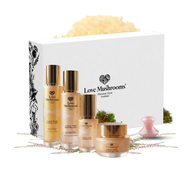The Love Mushrooms Ultimate Ritual Set