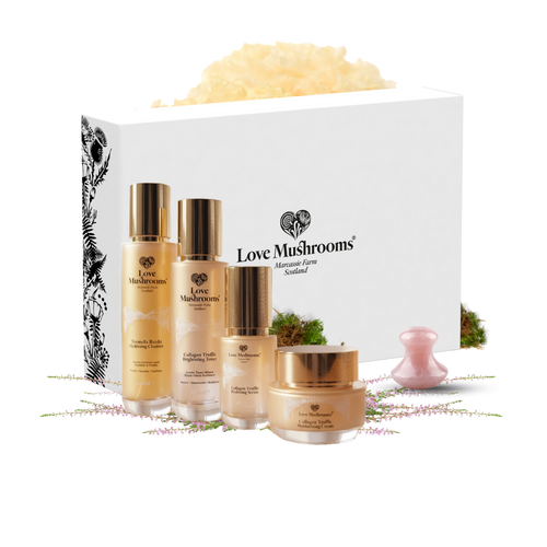 The Love Mushrooms Ultimate Ritual Set