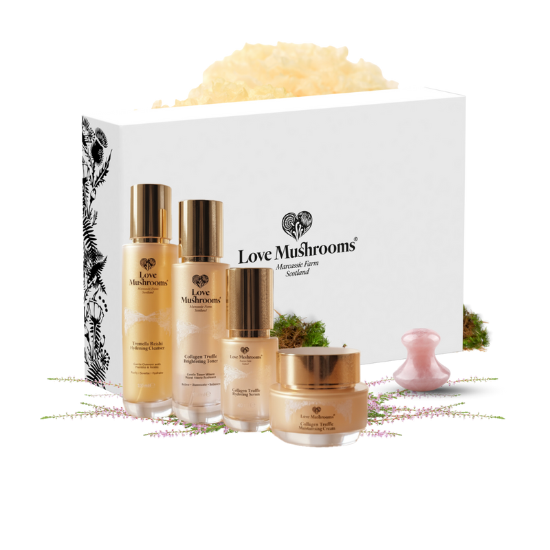 The Love Mushrooms Ultimate Ritual Set