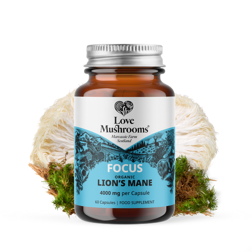 Lion’s Mane Capsules (60) – 4000mg per Capsule