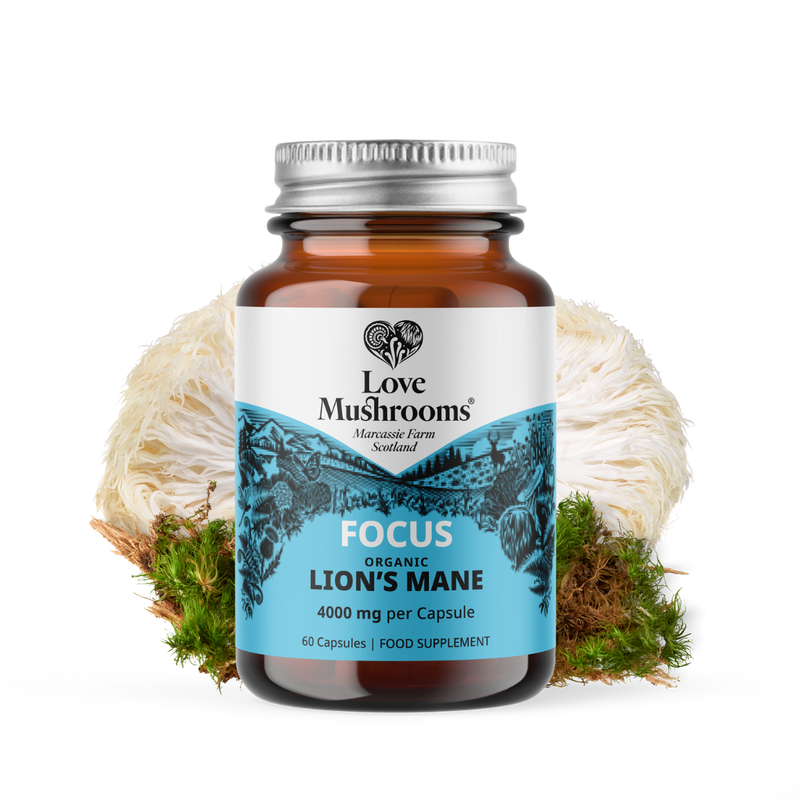 Lion’s Mane Capsules (60) – 4000mg per Capsule