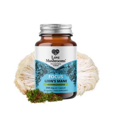 FOCUS – Lion’s Mane + Ashwagandha (30 Capsules)