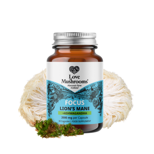 FOCUS – Lion’s Mane + Ashwagandha (30 Capsules)