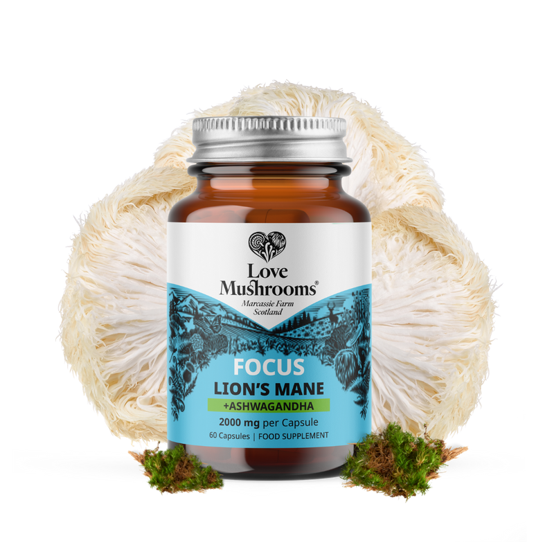 FOCUS – Lion’s Mane + Ashwagandha (60 Capsules)